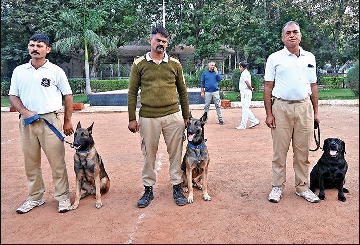 ગુજરાત પોલીસના પાક્કા દોસ્ત